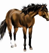 Image result for Paint Horse Clip Art