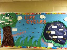 Image result for Science Bulletin Board Ideas for Elementary
