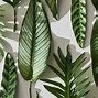 Image result for Minimal Green Leaves Wallpaper