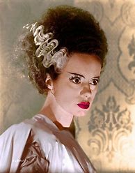 Image result for Bride of Frankenstein Hair Color