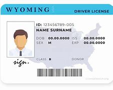 Image result for Daniel Wyoming Drivers License