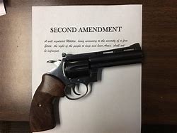 Image result for Second Amendment