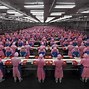 Image result for Poynting Factory China