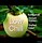 Image result for Dorsett Yellow Apple