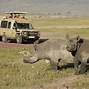 Image result for Mount Kenya Safari Park