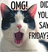 Image result for Friday Work Cat Meme