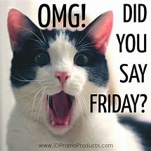 Image result for Funny Its Friday Cat Meme