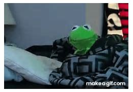 Image result for Kermit in Bed
