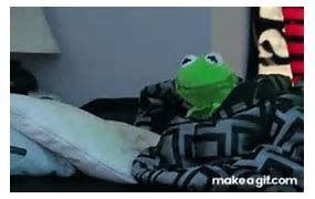 Image result for Kermit Sleeping
