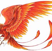 Image result for Red Fenix Co