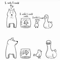 Image result for Hello Funny Animal Meme
