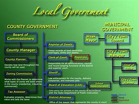 Image result for Local Government Branches