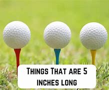 Image result for 5 Inches Things