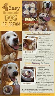 Image result for Homemade Dog Ice Cream Recipe