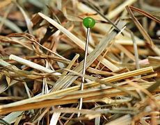 Image result for Wodden Supoport Straw