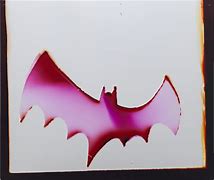 Image result for Dark Pink Bat Realistic