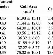 Image result for MRI Cell Size