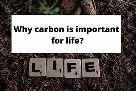 Image result for Why Is Carbon the Basis of Life