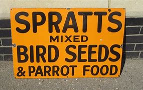Image result for Spaiin Old Signs