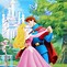 Image result for Disney Princess Aurora Background Images