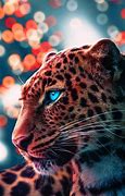 Image result for Cheetah Cool Laptop Desktop