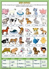 Image result for English Animals Worksheet
