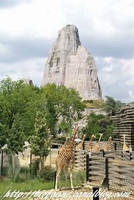 Image result for Zoo De Paris