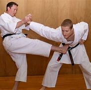 Image result for Deadliest Female Martial Arts Punch