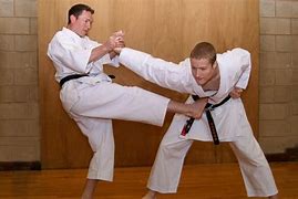 Image result for Karate Moves