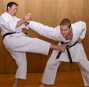 Image result for Deadliest Martial Arts Centers