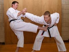 Image result for Best Martial Arts Fights