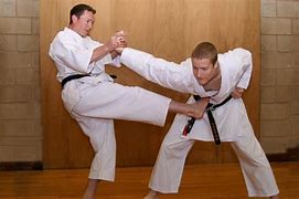 Image result for Martial Arts Self-Defense Techniques