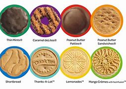 Image result for Girl Scout Cookie Craft