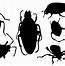 Image result for Bug Silhouette Printable