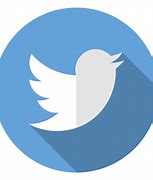 Image result for Twitter Logo 2019 Transparent