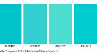 Image result for Turquoise Color Swatch