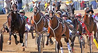 Image result for Harness Horse Racing Action