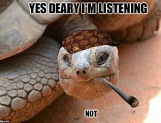 Image result for Smiling Tortoise Meme