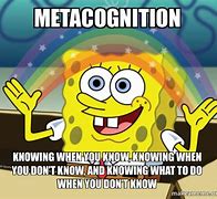 Image result for Metacognition Meme