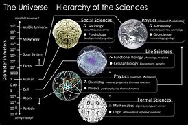 Image result for All Branches of Science