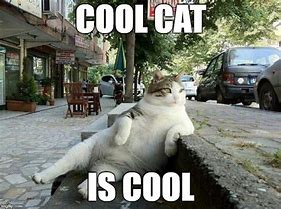 Image result for Hey Cool Cat Meme