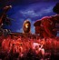 Image result for Mufasa Lion King Disneyland