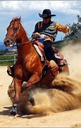 Image result for Western Horse Riding