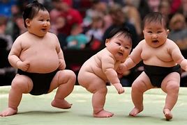 Image result for Baby Sumo Wrestler