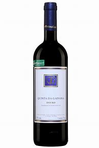 Image result for Alves Sousa Douro Quinta da Gaivosa Vinha Lordelo