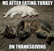 Image result for Memes About Sleepy Turkeys