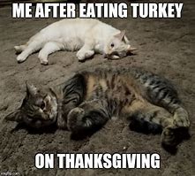 Image result for Turkey Cat Meme