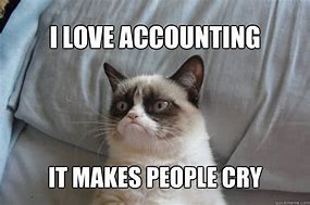 Image result for Accounting Student Memes