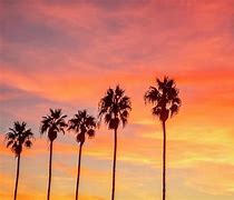 Image result for California Sunset Palm Trees