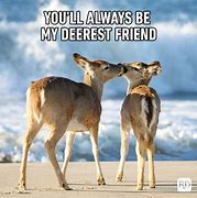 Image result for Two Friends Meme